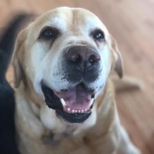 Meet your Posher, Mon